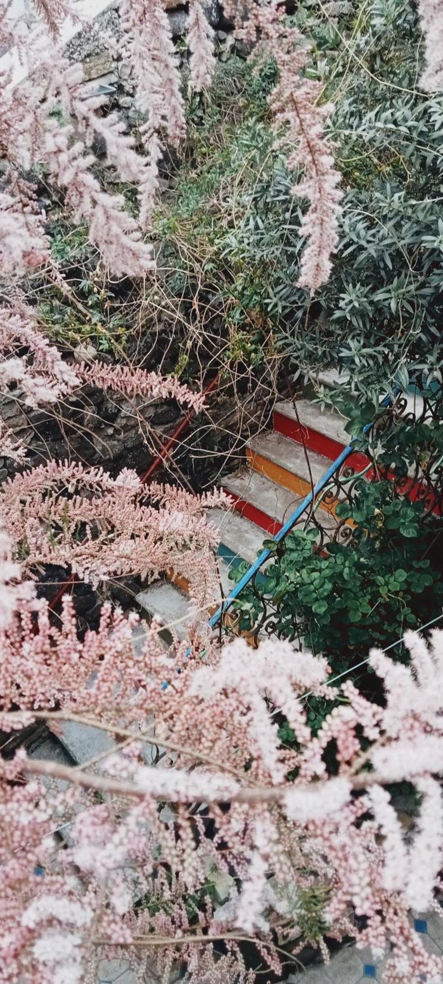 Ruelles Et Terrasses *